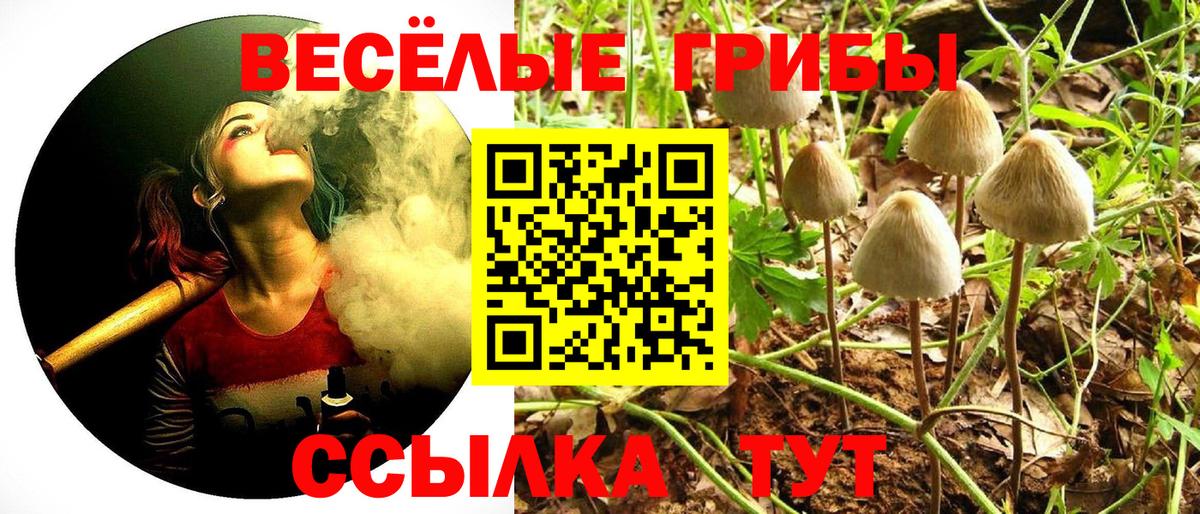 ГАШ  Бошки Шишки  Советск  Мефедрон кристаллы  Меф МЯУ МЯУ  Вход с VPN  COCAIN 