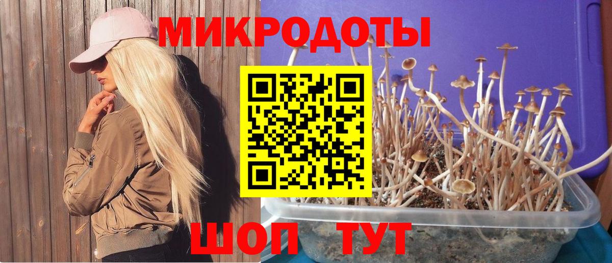 Псилоцибиновые грибы мухоморы  Псилоцибиновые грибы Magic Shrooms  Вход с VPN  Советск 